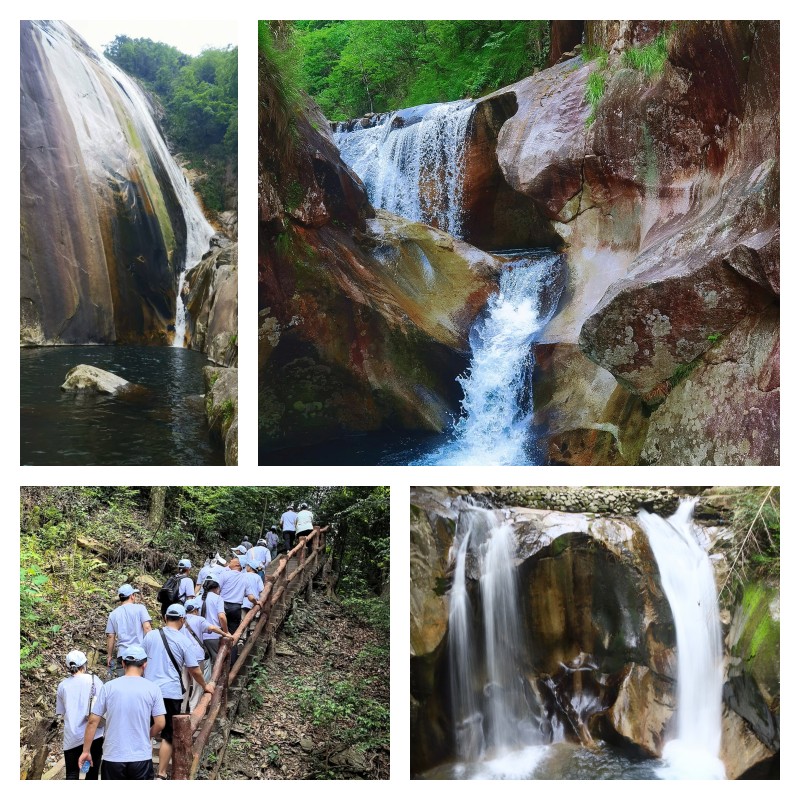 汪湖森林公園.jpg 汪湖森林公園.jpg